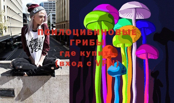 индика Вяземский