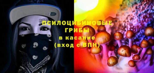 шишки Вязьма